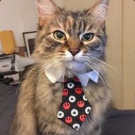 FuZzYey