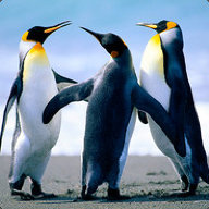 Yolopc2